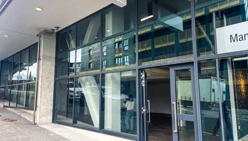T9 | 4 Williamson Avenue, Ponsonby