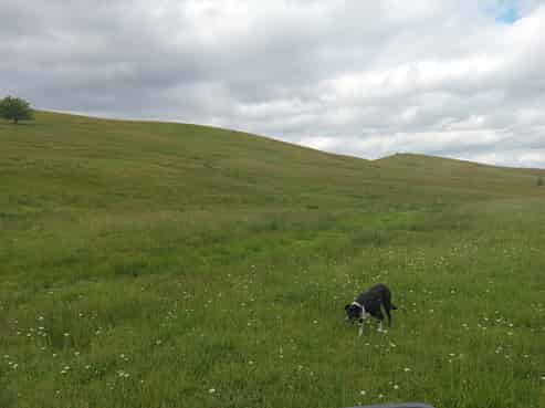 Lot 1-3/36 Te Moho Road, Taipa