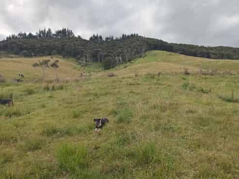 Lot 1-3/36 Te Moho Road, Taipa