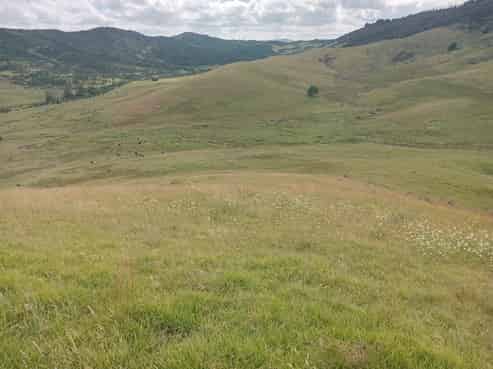 Lot 1-3/36 Te Moho Road, Taipa