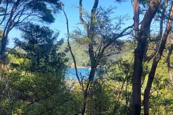 665 & 667 Whangaparapara Road, Great Barrier Island