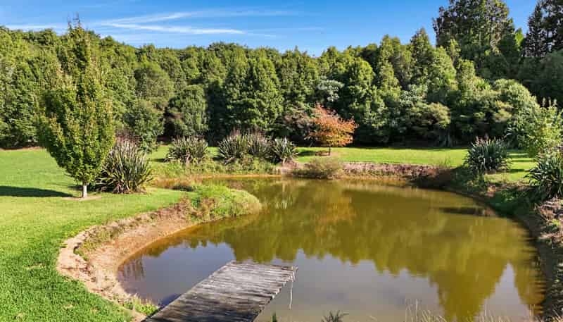 24B Chard Road, Aongatete