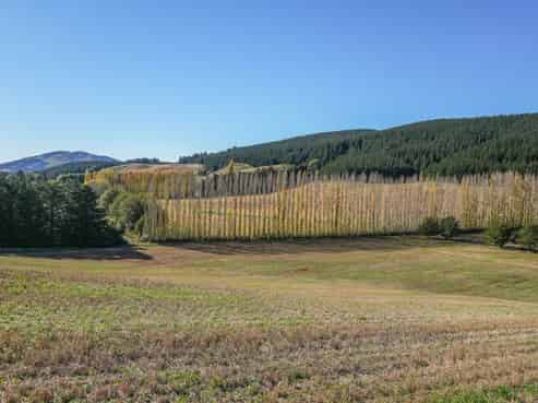 624 Greta Road, Greta Valley