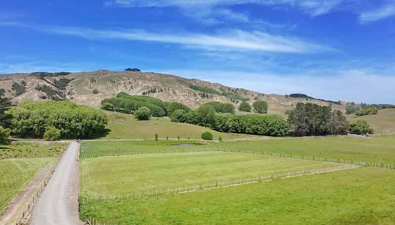 Lot 4, 2538 Kahuranaki Road, Elsthorpe