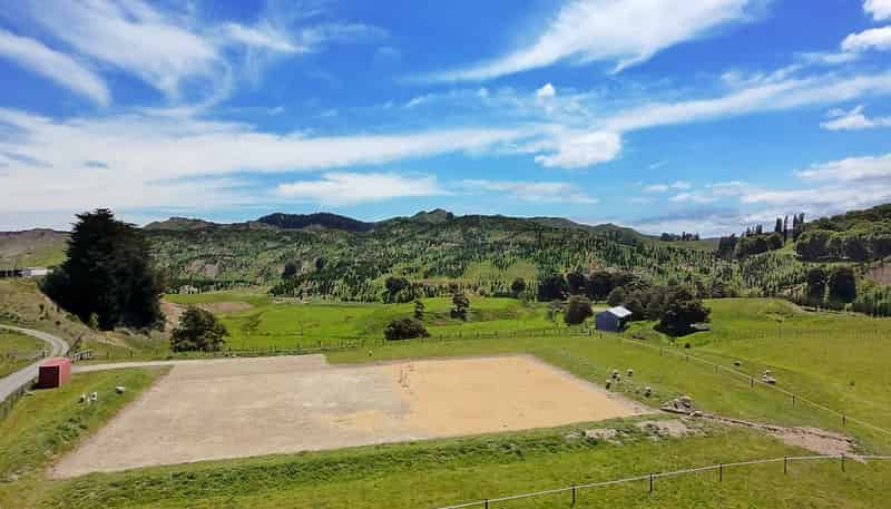 Lot 4, 2538 Kahuranaki Road, Elsthorpe