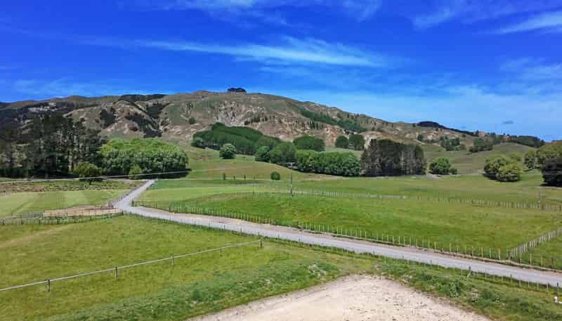 Lot 4, 2538 Kahuranaki Road, Elsthorpe