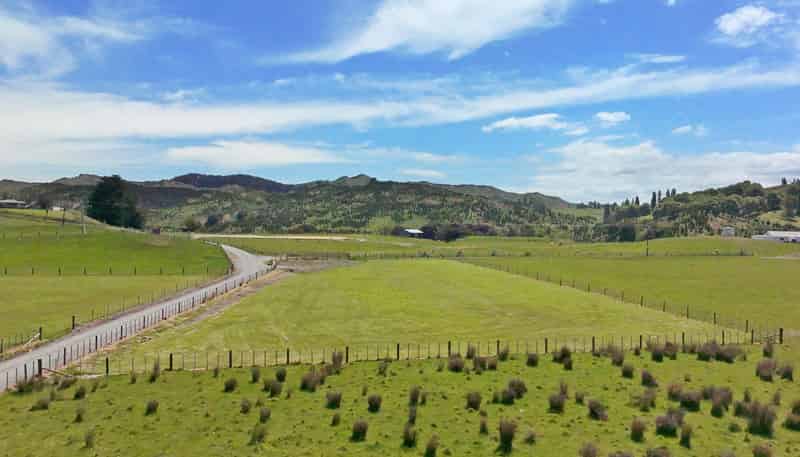 Lot 4, 2538 Kahuranaki Road, Elsthorpe