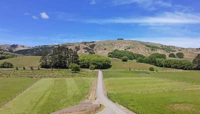 Lot 4, 2538 Kahuranaki Road, Elsthorpe