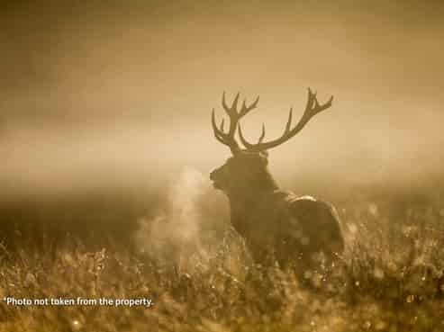 3286 Lake Road, Tuai/Ohuka