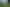 Otago - Address withheld