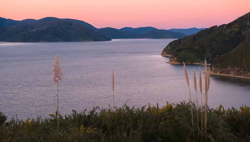 318 Port Underwood Road, Waikawa