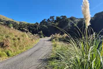 282 Wainui Main Road, French Farm