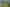  Mangaroa Hill Road, Maoribank