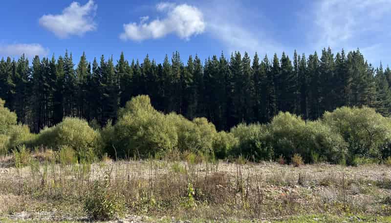 Lot ., Red Jacks Road, Ngahere