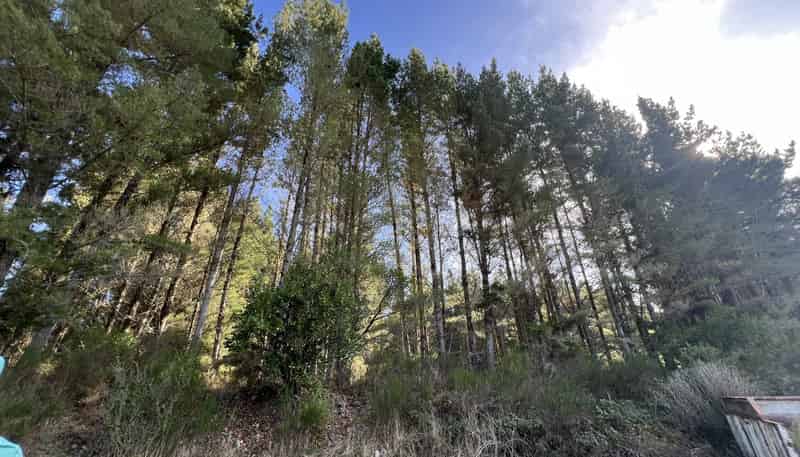 Lot ., Red Jacks Road, Ngahere