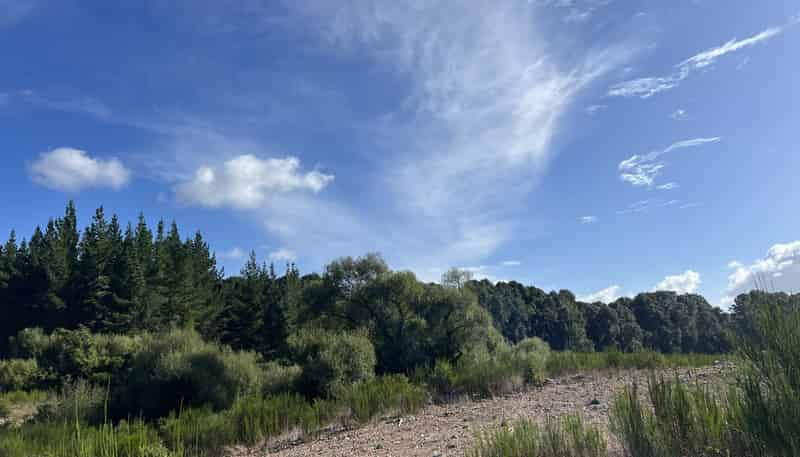 Lot ., Red Jacks Road, Ngahere