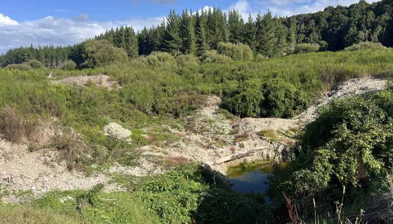 Lot ., Red Jacks Road, Ngahere