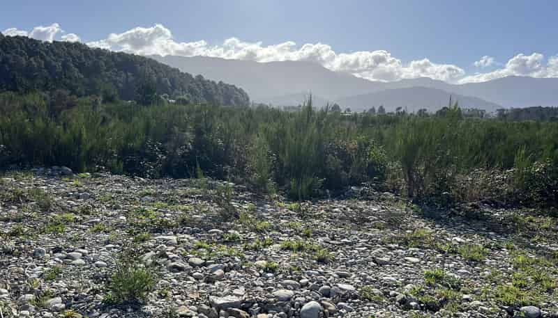 Lot ., Red Jacks Road, Ngahere