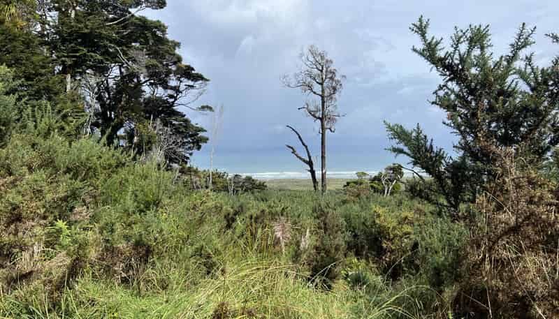 Lot . State Highway 6, Barrytown