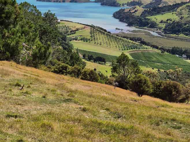 79 Awaawaroa Road, Waiheke Island