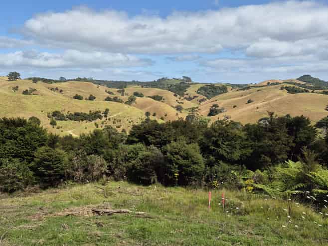 79 Awaawaroa Road, Waiheke Island