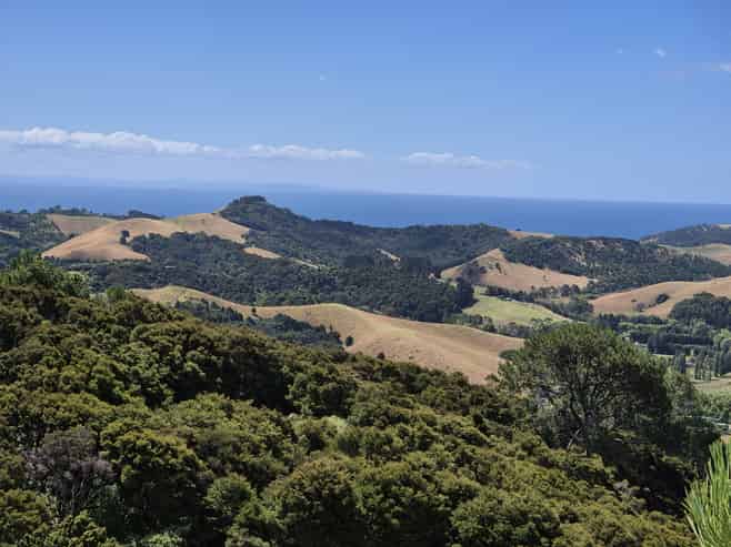 79 Awaawaroa Road, Waiheke Island