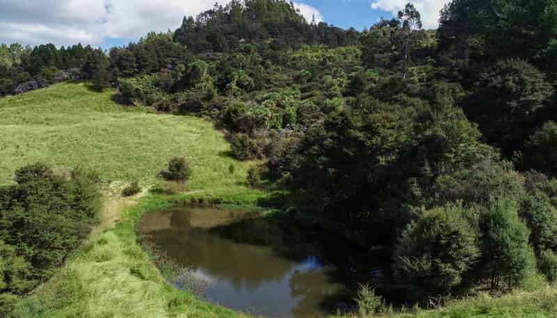 26 Maddies Road, Kaukapakapa