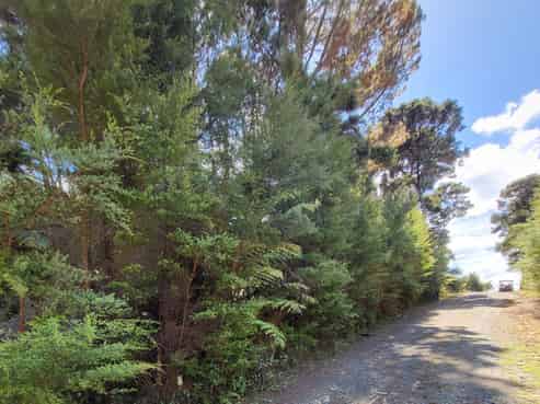 10 Wilson Avenue, Kawau Island