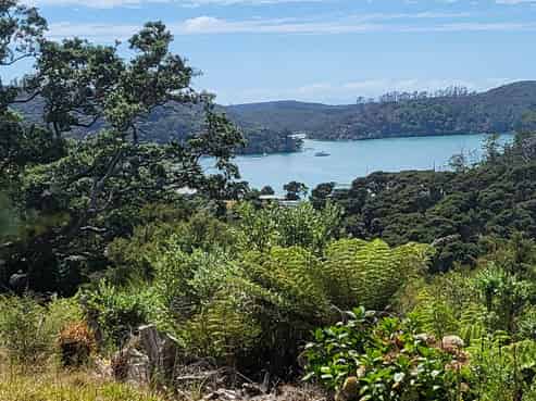 10 Wilson Avenue, Kawau Island
