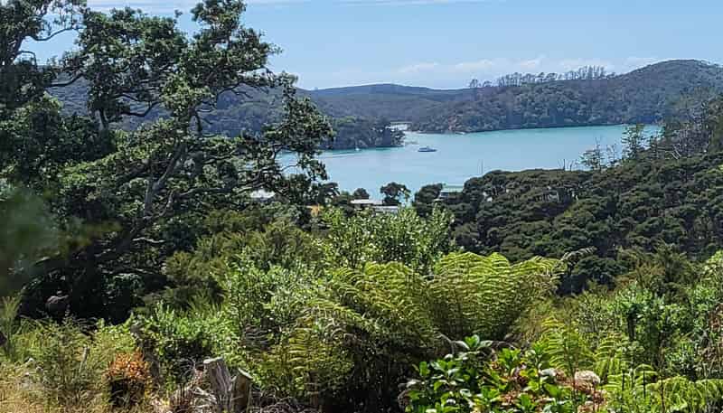 10 Wilson Avenue, Kawau Island