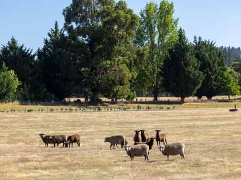 71 Seven Lane, Wanaka