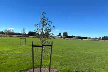 25 Sam Holmes Drive, Methven