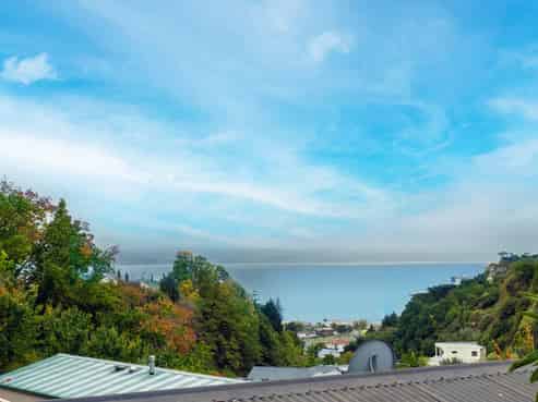 78 Milton Road, Bluff Hill