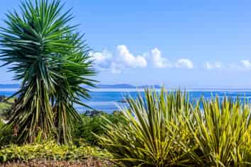 7 Torsby Road - Coopers Beach, Coopers Beach
