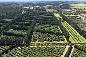 373 Kimberley Road, Ngataki