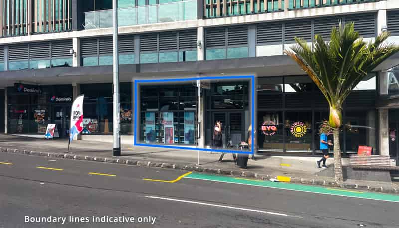 T5 | 4 Williamson Avenue, Ponsonby