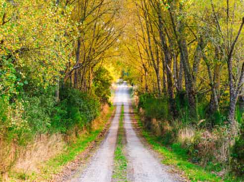 336 Puketapu Road, Lake Taupo (West)