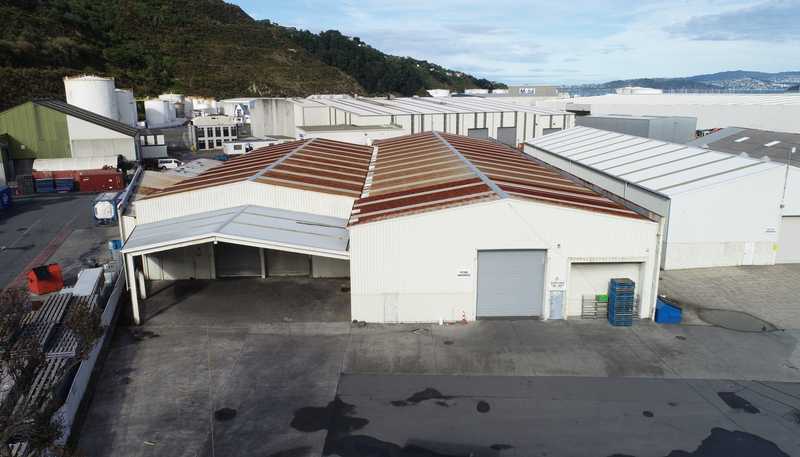 146 Hutt Park Road, Gracefield
