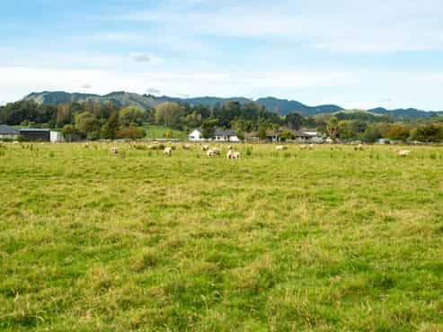  Haisman Road, Makauri