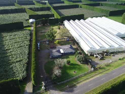 187 Kelly Road, Paengaroa