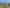 Opportunity in the Heart of Raumati