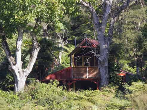 The Flying Fox - unique business opportunity