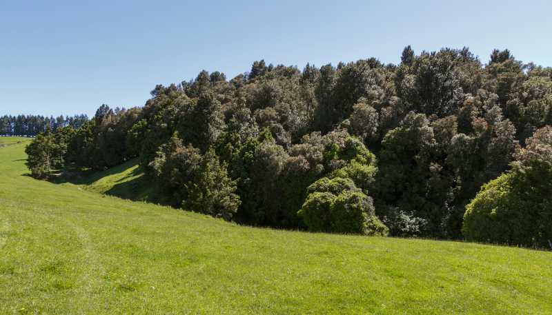  Poihipi Road, Wairakei