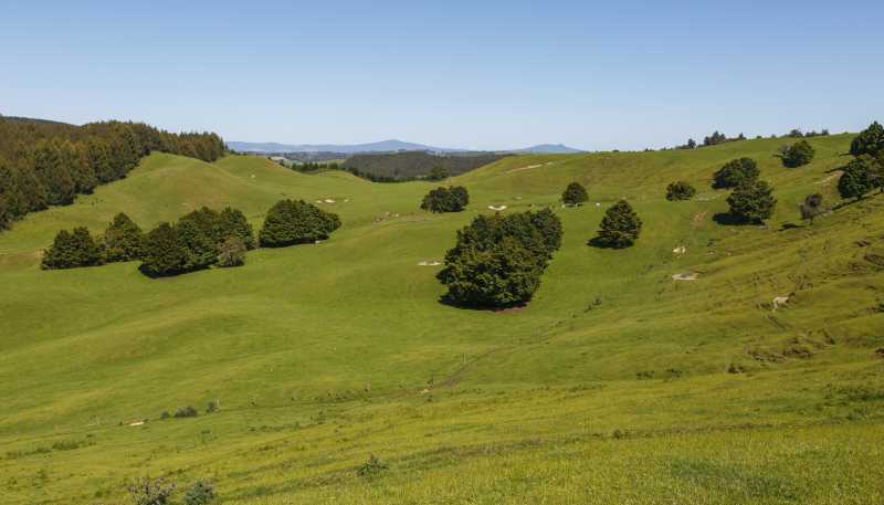  Poihipi Road, Wairakei