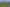 Lot 1 & 2 Woodstock-Rimu Road Hokitika NZ, Hokitika