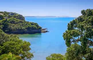 17 Swann Beach Road, Stanmore Bay