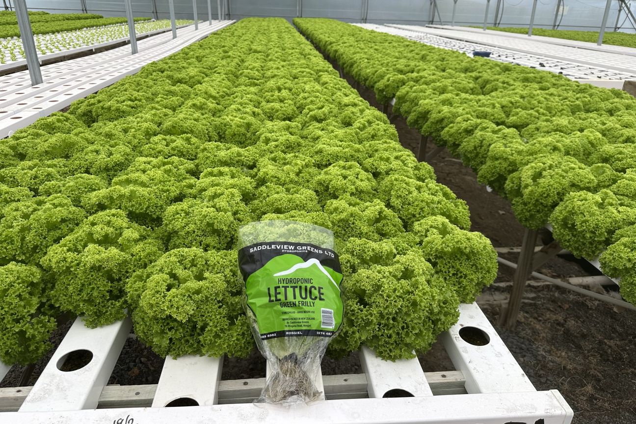 Saddleview Greens Hydroponics - Ansicht 3