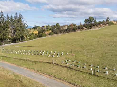 Lots 2-3 Pine Hill Road, Mapua