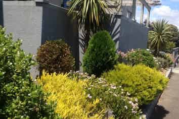 3/16 Freyberg Street, Roslyn