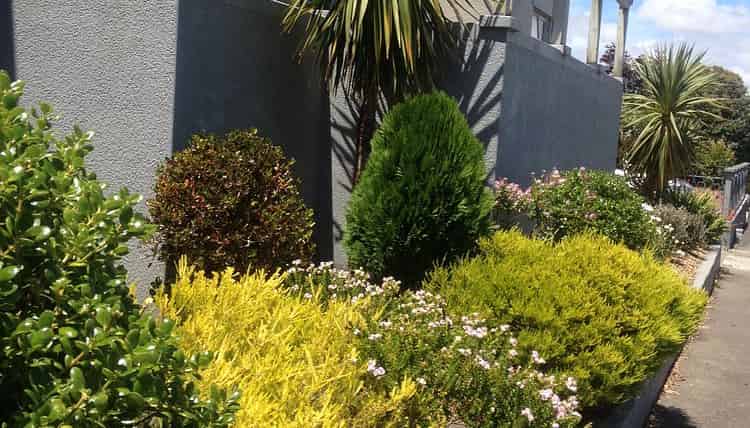3/16 Freyberg Street, Roslyn